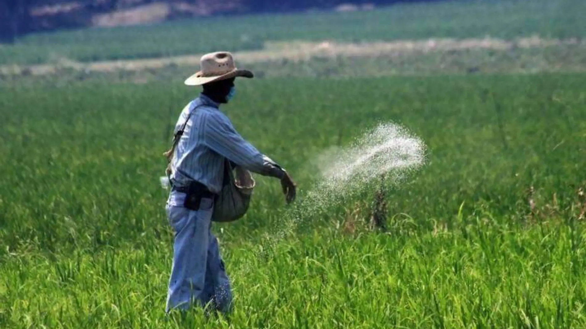 Fertilizantes y agricultura